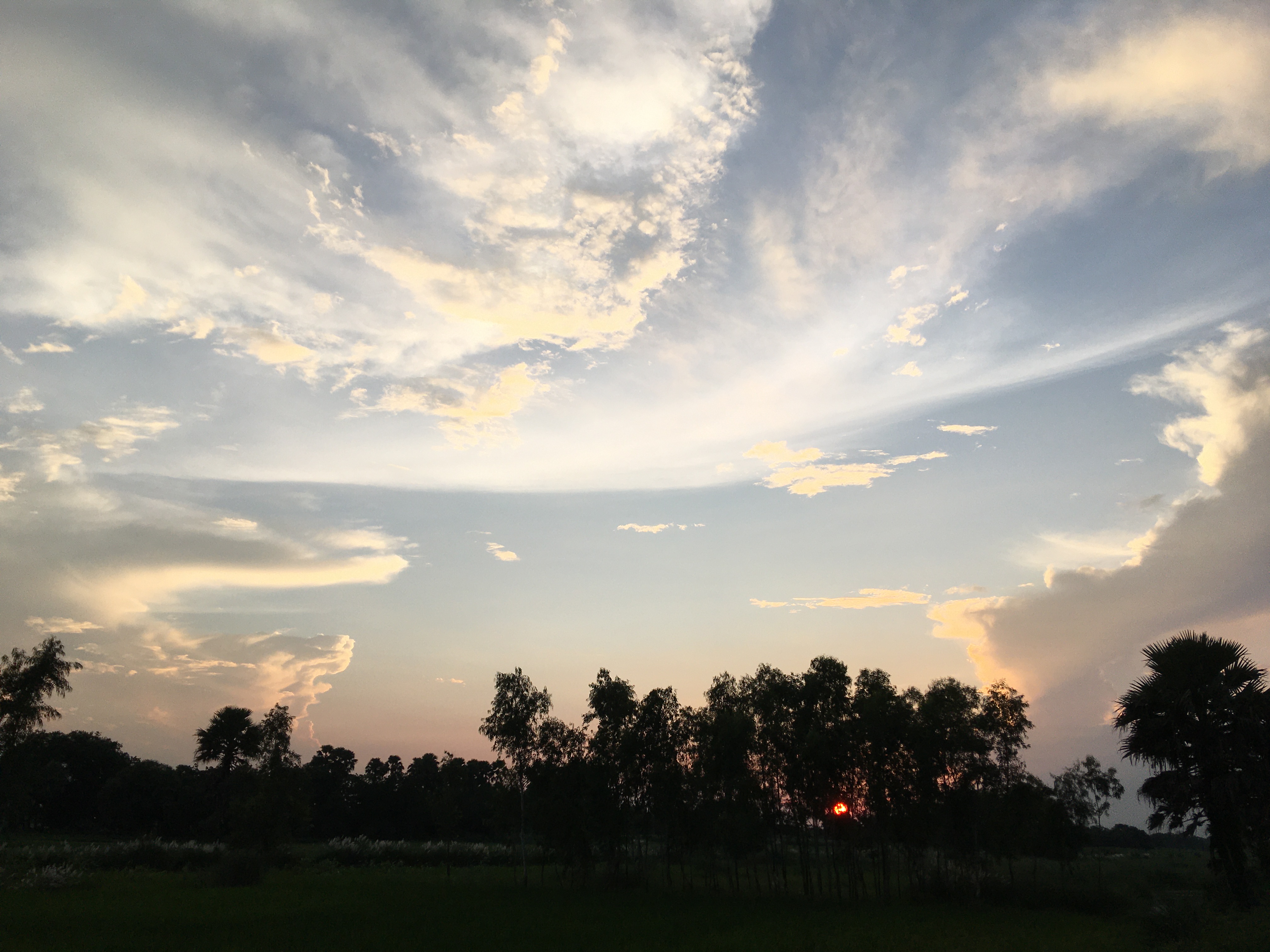 Sweeping sunset sky with layered clouds and tree silhouettes