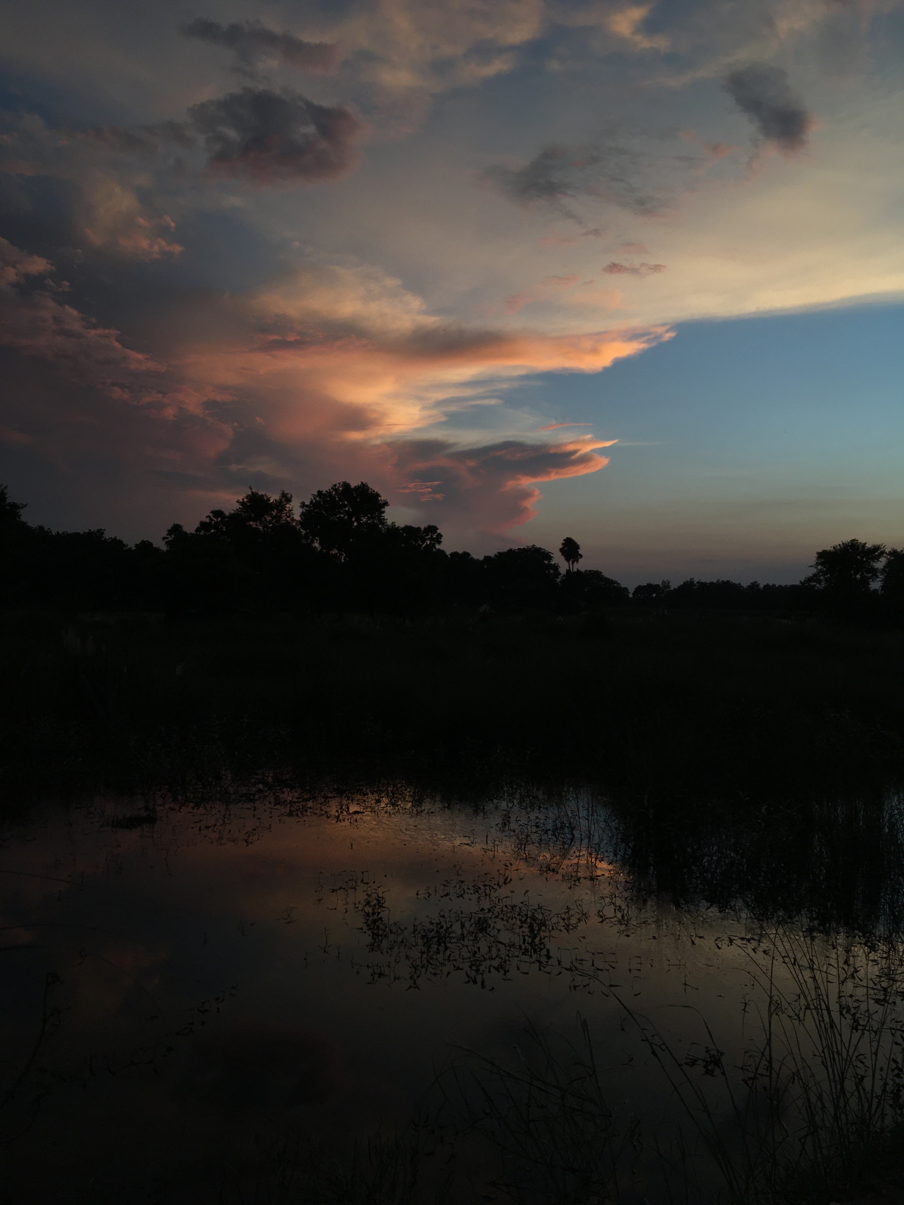 Pink-purple clouds reflected in a perfectly still pond at twilight